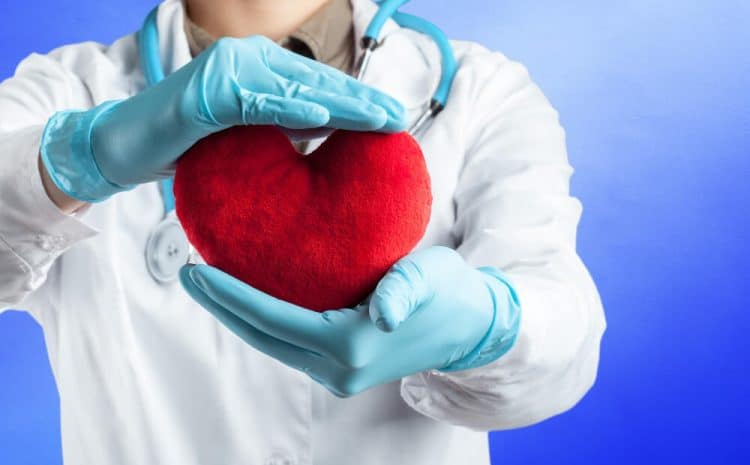 Best Cardiologist in Indore