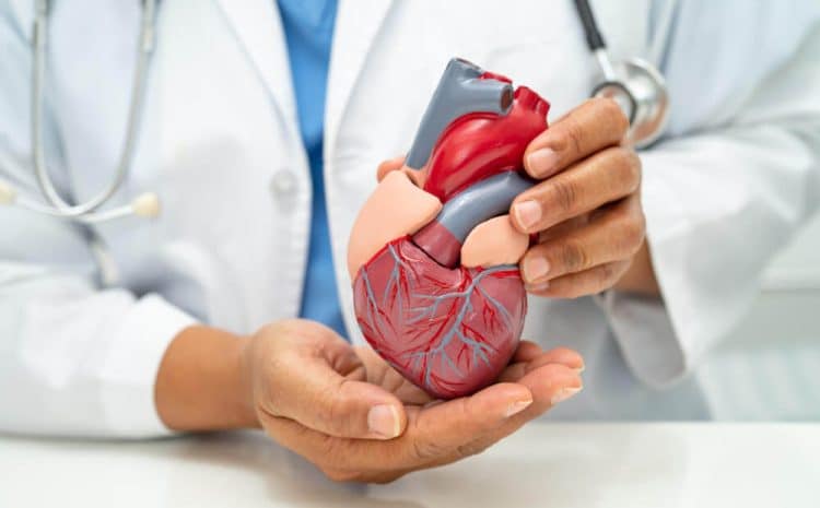 Best Heart Specialist in Indore