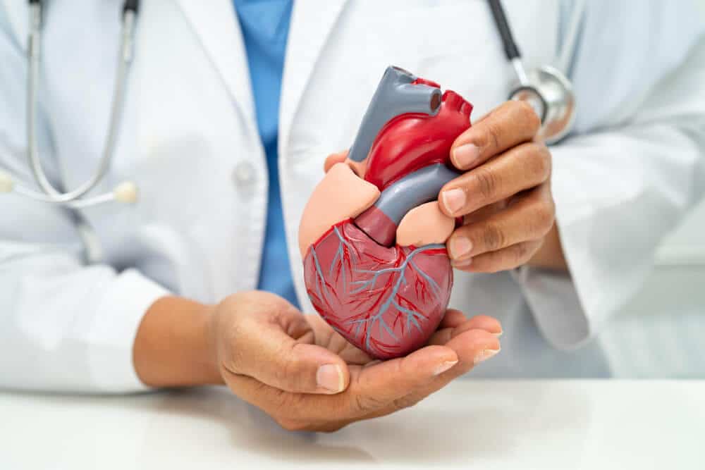 Dr Sarita Rao - Best Heart Specialist in Indore