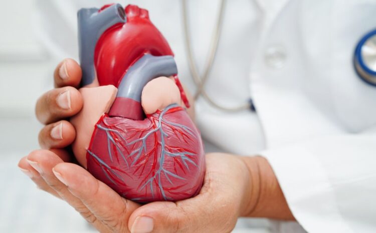 Best Cardiologist in indore, heart specialist