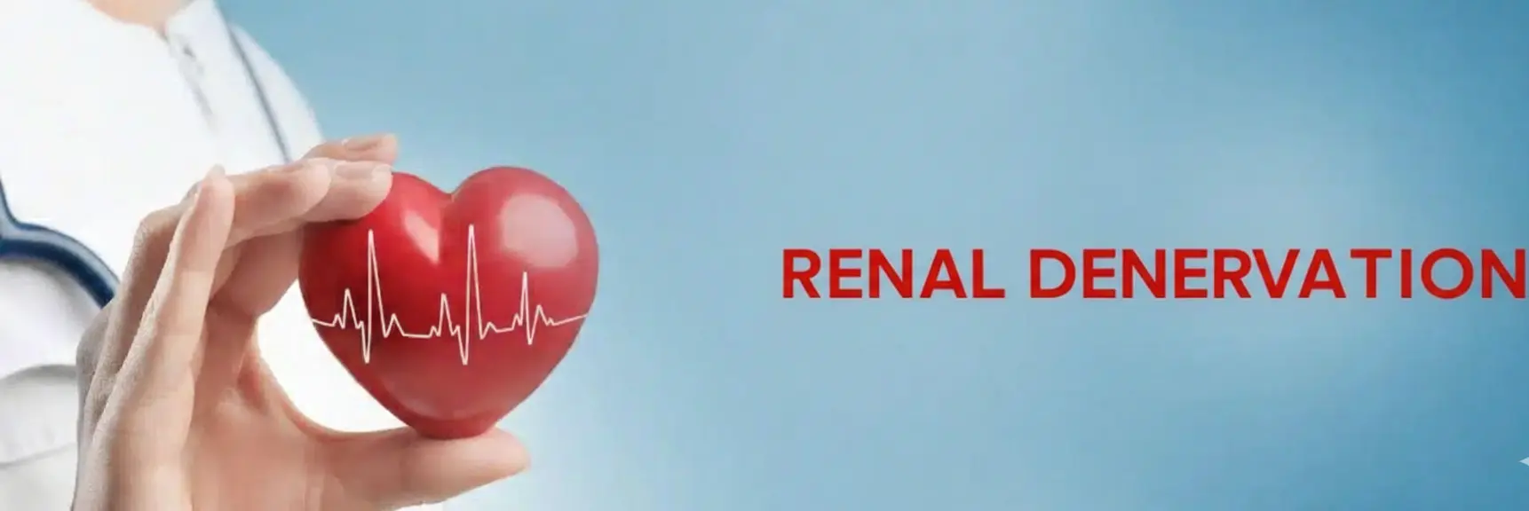 Renal Denervation