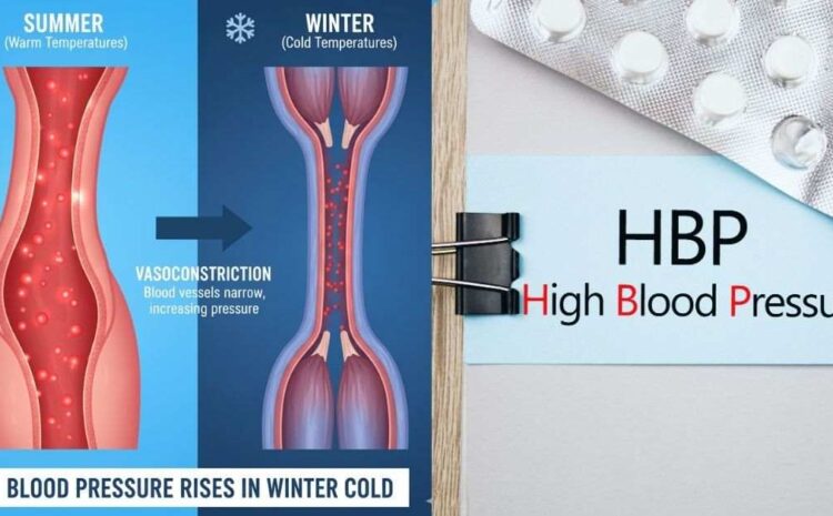 best Cardiologist in indore