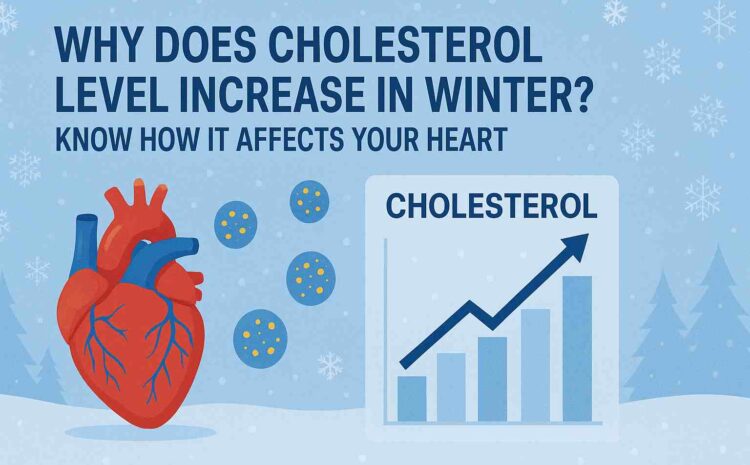 Top Cardiologist in Indore