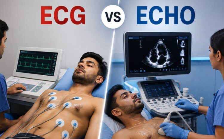 ECG vs Echo best heart specialist in Indore - Dr Sarita Rao