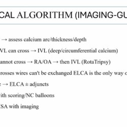 Dr. Sarita Rao - Best Cardiologist - Done webinar with the collab of APSIC and SCAI